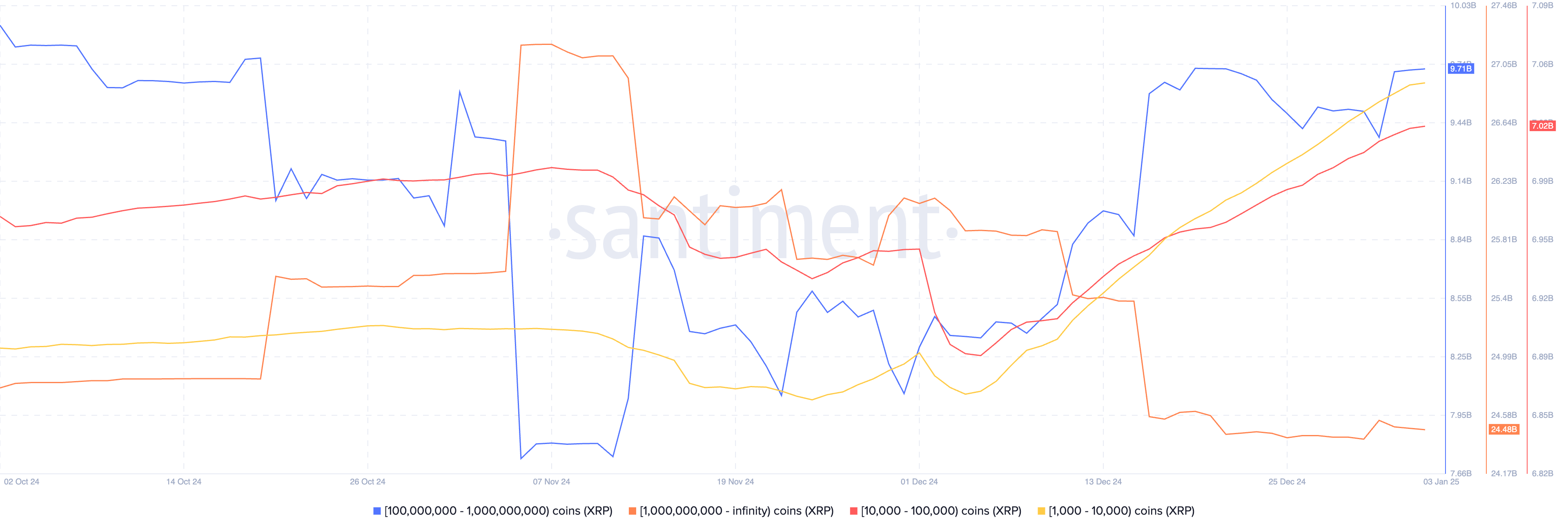 XRP 代币持有量