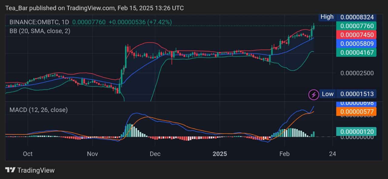 2月15日今天的咒语价格预测 - OM技术分析