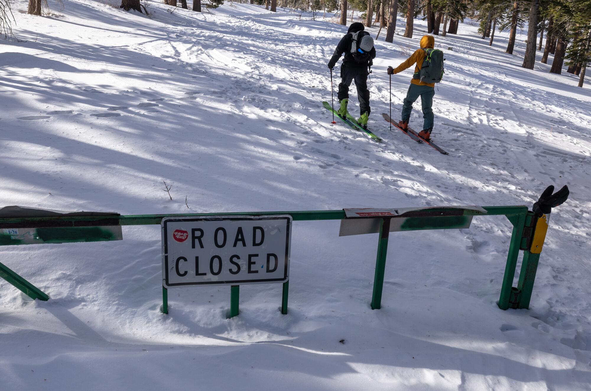 Two skiers pass a "Road Closed" sign on their trek up a backcountry slope. 