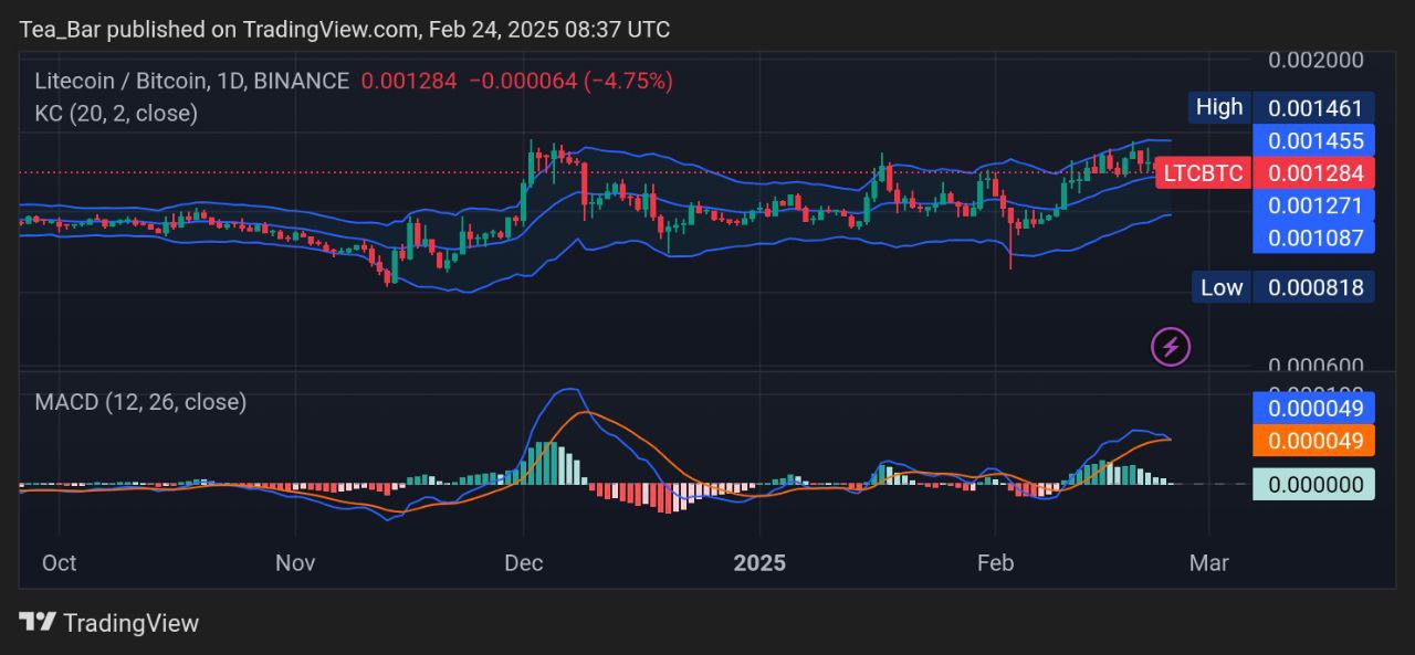 Litecoin的价格预测今天,2月24日 - LTC技术分析
