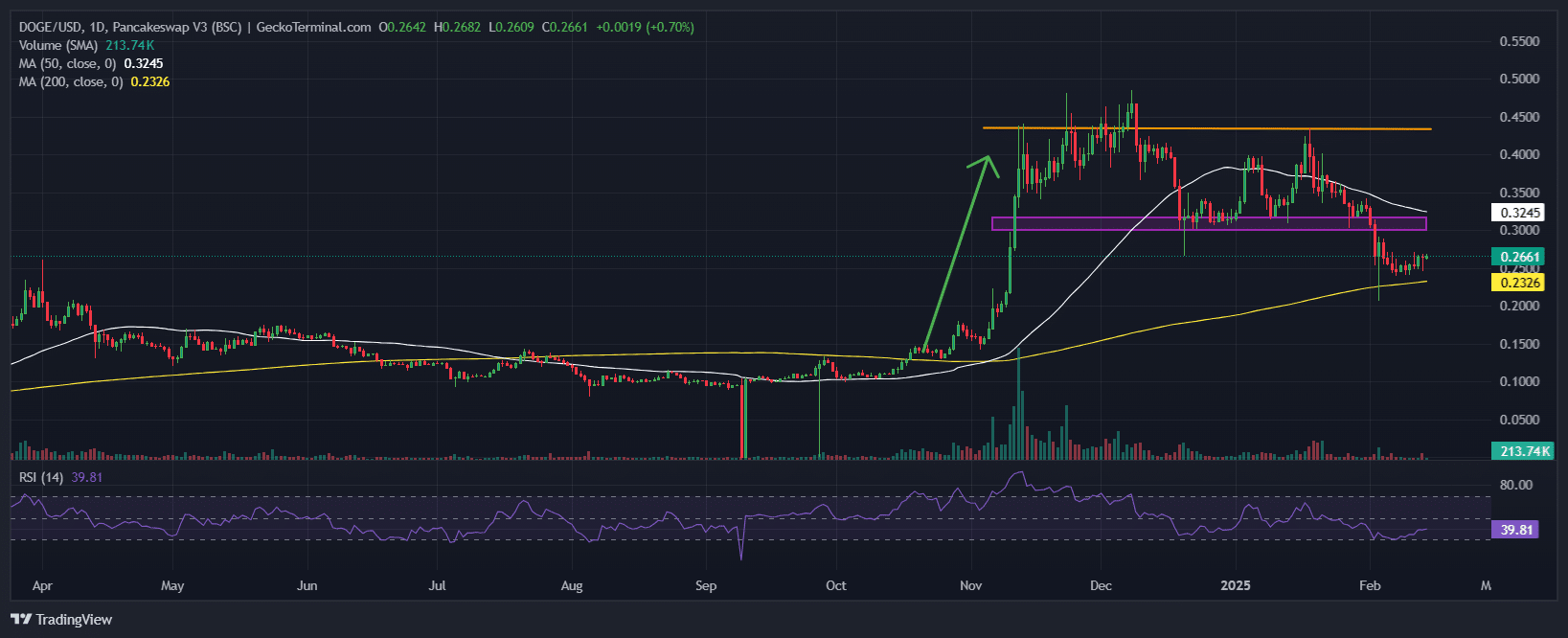 Dogecoin价格图表分析资料来源：geckoterminal