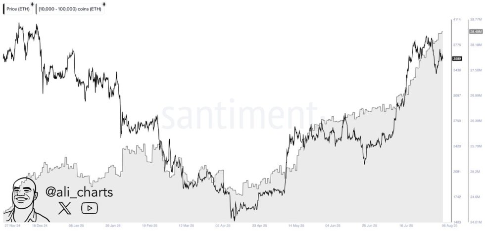 鲸鱼在过去一个月中购买了超过180万ETH |资料来源：santiment