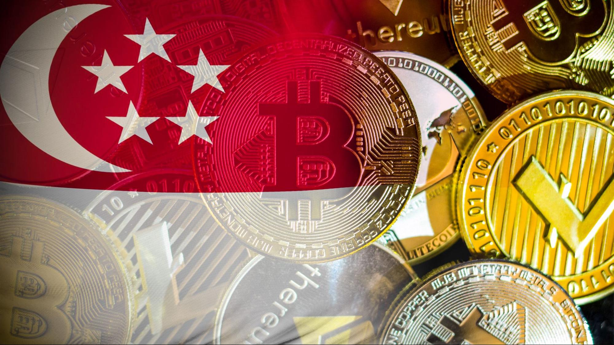 新加坡：质量超过数量