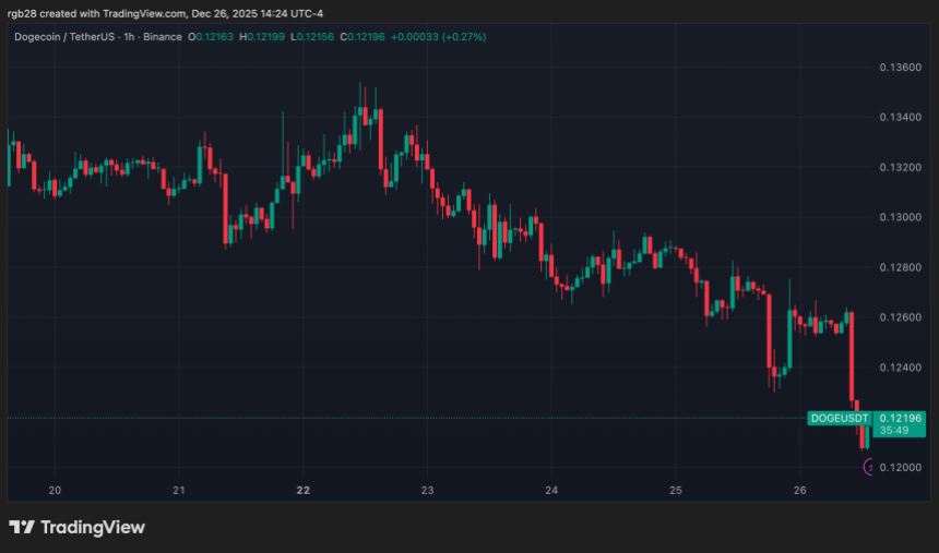 狗狗币、DOGE、DOGEUSDT