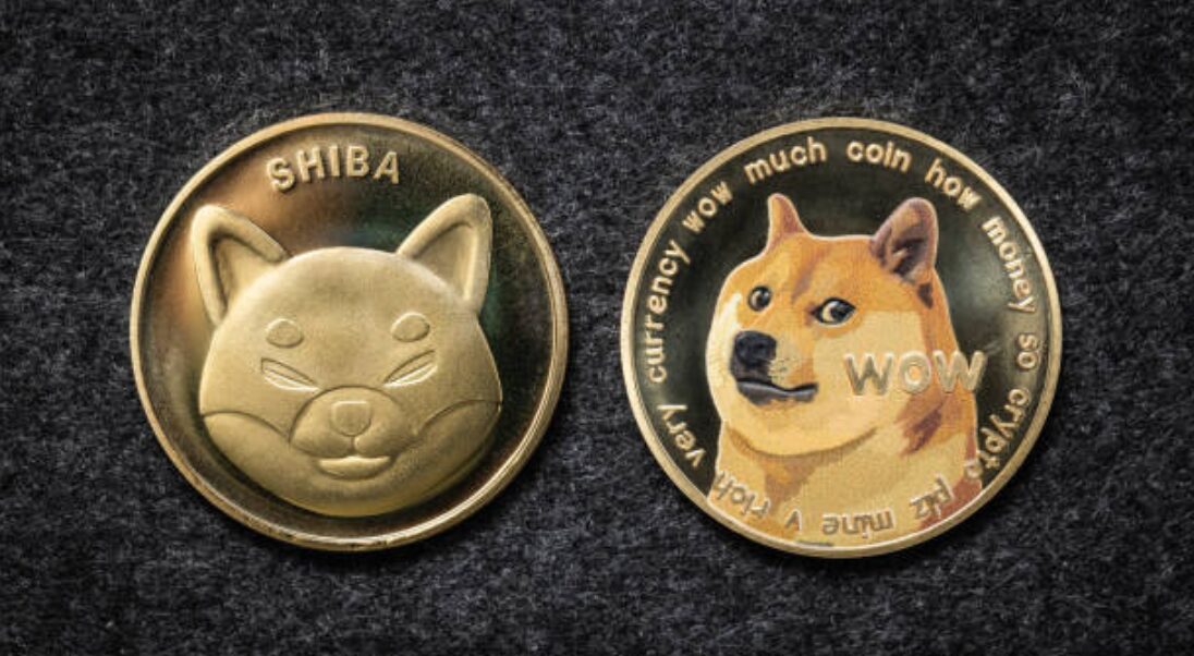 Shiba Inu 与 Dogecoin – 主要区别